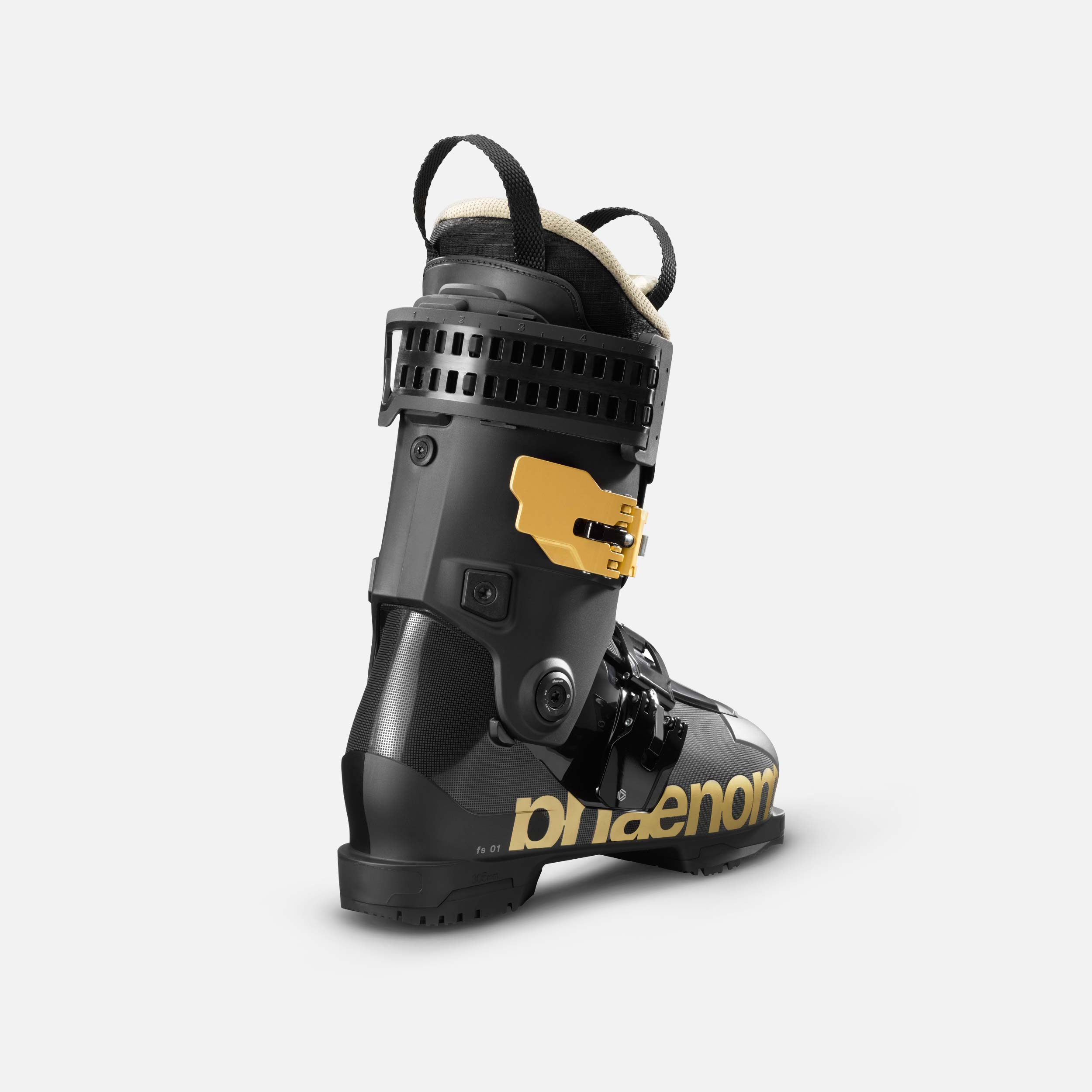 fs 01 120 gold – phaenom